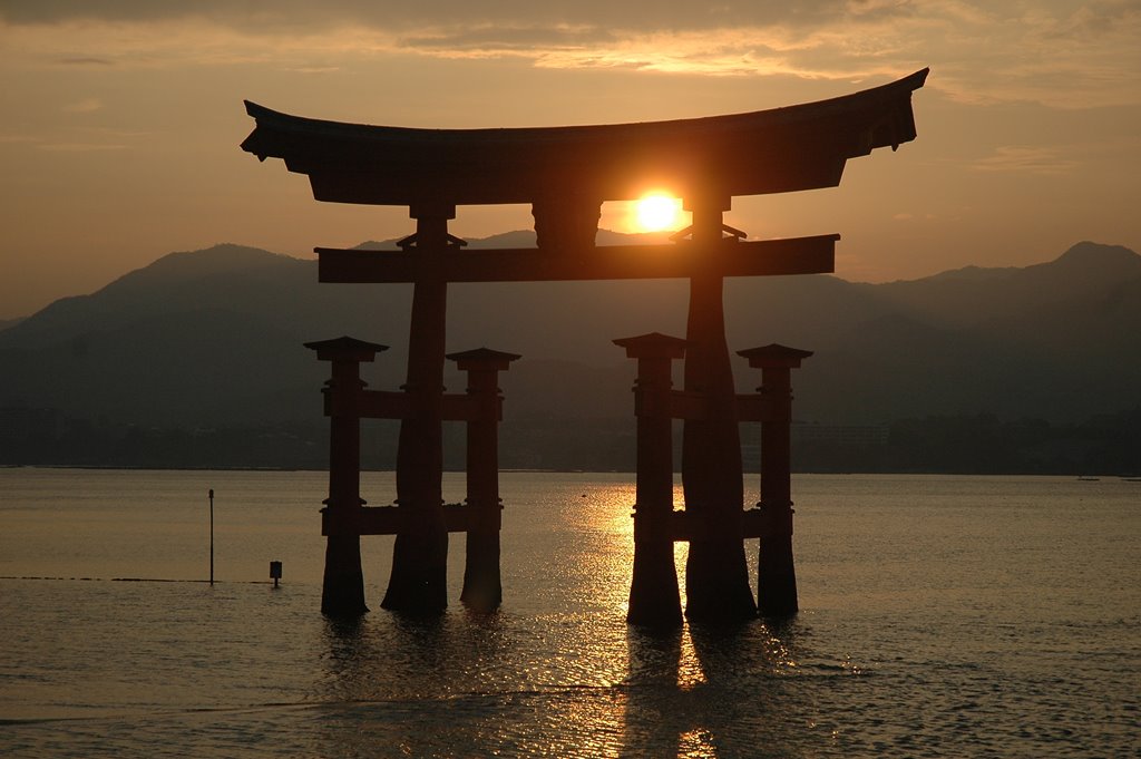408   Japonia